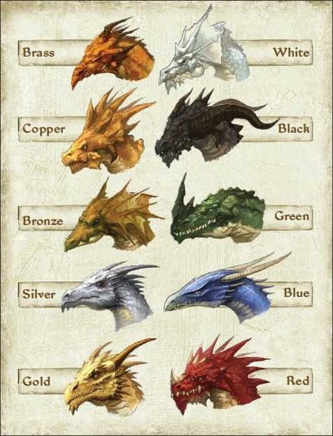 D&D question! - Imgur Chromatic Dragon, Dragon Heads, Types Of Dragons, Here There Be Dragons, Dragon Sketch, Here Be Dragons, Dragon Pictures, Dragon Artwork, Creatures Art