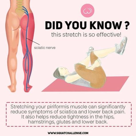 Squat Challenge on Instagram: "There’s a tiny muscle you’ve probably never heard of that has a powerful effect on your daily movements, and can even be linked to sciatica. It’s called the piriformis and it enables you to move your hips, upper legs, and feet away from your body. The piriformis also covers the sciatic nerve that runs from your lower back and down towards your legs. When the sciatic nerve becomes pinched, it results in a very painful condition called “sciatica.” The strains of da Upper Back Pain Exercises, Nerve Pain Remedies, Sciatic Nerve Stretches, Mid Back Pain, Sciatica Symptoms, Piriformis Muscle, Sciatica Exercises, Nerve Health, Chronic Pain Relief