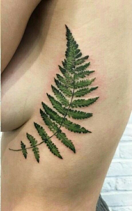 Fern Tattoo Spine, Stomach Tattoos Plants, Sternum Fern Tattoo, Fern Tattoo Ribs, Fern Tattoo Color, Green Nature Tattoo, Fern Leg Tattoos Women, Green Fern Tattoo, Small Green Tattoo