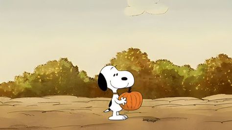 Fall Computer Backgrounds, Snoopy Gif, Desktop Wallpaper Fall, Halloween Desktop Wallpaper, Helloween Wallpaper, Snoopy Halloween, Halloween Gif, Cute Fall Wallpaper, Computer Wallpapers