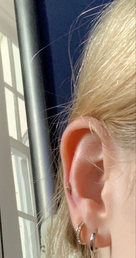 2 Ear Piercings, Double Lobe Piercing, Auricle Piercing, Minimalist Ear Piercings, Snug Piercing, Ear Piercing Studs, Earring Inspo, Belly Button Piercing Jewelry, Ear Art