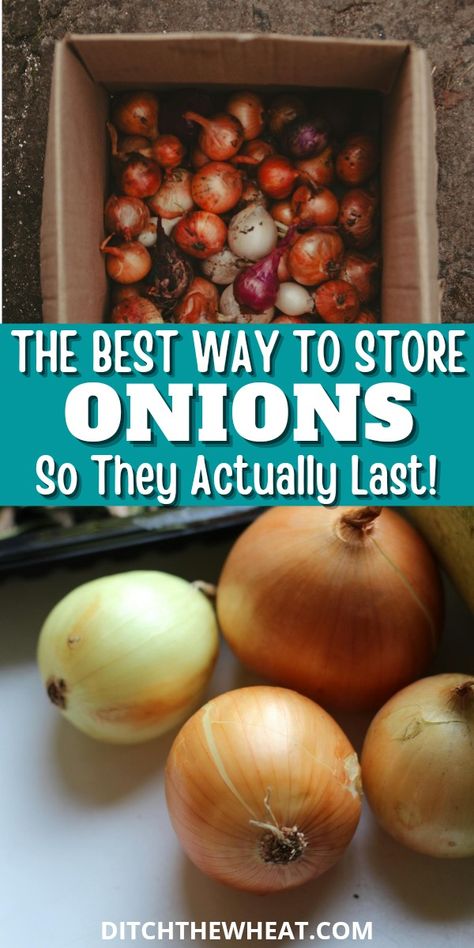 Learning how to store onions properly is the best way to ensure they remain fresh and flavorful for as long as possible. It is frustrating to find a soft, moldy onion in your pantry just when you need it for a recipe. Luckily, you can prevent this with a few simple storage techniques and reduce food waste.  https://www.rfr.bz/pla6p6k How To Store Onions From Garden, Storing Onions From Garden, How To Store Onions In Pantry, How To Braid Onions For Storage, How To Can Onions, Diy Onion Storage, How To Store Potatoes In Pantry, Best Way To Store Onions, How To Store Onions And Potatoes