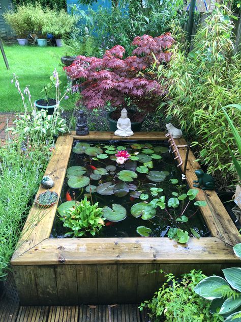 Fish Pond Gardens Landscaping, Greenhouse Koi Pond, Raised Ponds For Small Gardens, Raised Fish Pond, Raised Garden Pond Ideas, Greenhouse With Pond, Small Koi Fish Pond, Garden Fish Pond Ideas, Small Raised Pond