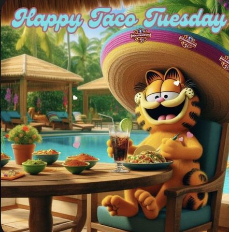 Taco Tuesday Quotes Funny, Happy Taco Tuesday Funny, Taco Tuesday Quotes, Tuesday Gif, Tuesday Quotes Funny, Happy Taco Tuesday, Friday Memes, Tuesday Images, Happy Taco