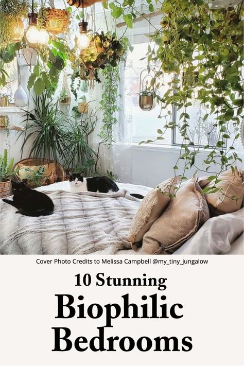 Biophilic Bedroom Ideas Plant Canopy Bedroom, Plant Over Bed, Plant Shelf Behind Bed, Botanical Bedroom Ideas Cozy, Plant Wall Over Bed, Bedroom With Plants And Books, Plants Behind Bed, Over Bed Plant Shelf, Canopy Bed With Plants