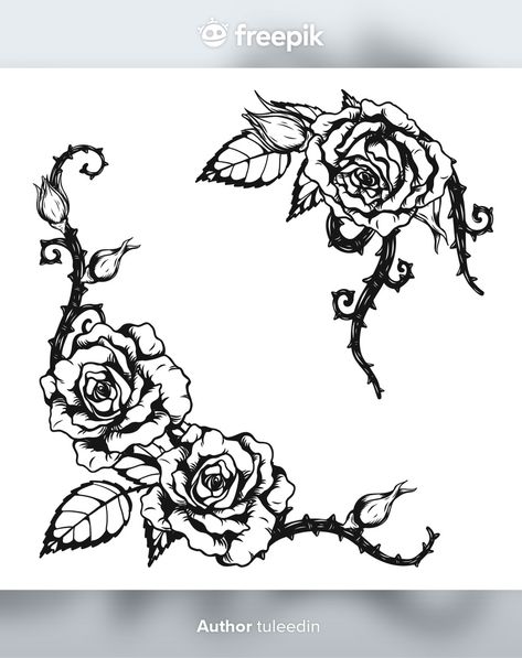 Tatoo Pic, Ornament Tattoo, Vector Rose, Rose Ornament, Wing Tattoos, Border Art, Rose Thorns, Collage Book, About Rose