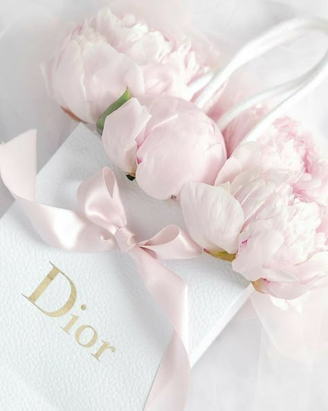 Pink Peony Aesthetic, Pink Peonies Aesthetic, Pink Dior Aesthetic, Peonies Aesthetic, Dior Flowers, Peony Aesthetic, Girly Aesthetic, Pastel Pink Aesthetic, Pink Girly Things