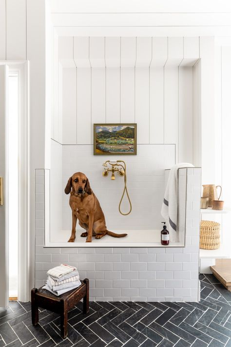 Woodcrest Remodel - Transitional - Bathroom - Salt Lake City - by House of Jade Interiors | Houzz Boho Laundry, Pet Washing Station, Wash Station, Dog Washing Station, Blogger Home, Pantry Ideas, Dog Wash, Dog Shower, Dog Rooms