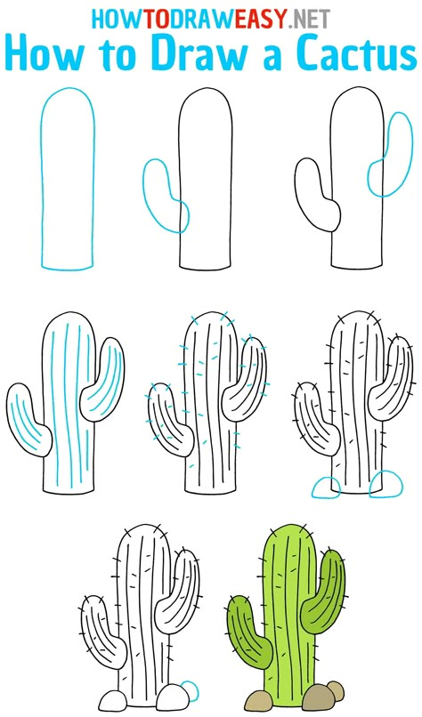 How To Draw Cactus Flowers, How To Draw A Cactus Easy, Drawing Of Cactus, Succulent Drawing Simple Step By Step, Cactus Doodle Simple, How To Draw Plants Step By Step Easy, Cactus Simple Drawing, Drawing Cactus Easy, How To Draw Succulents Step By Step