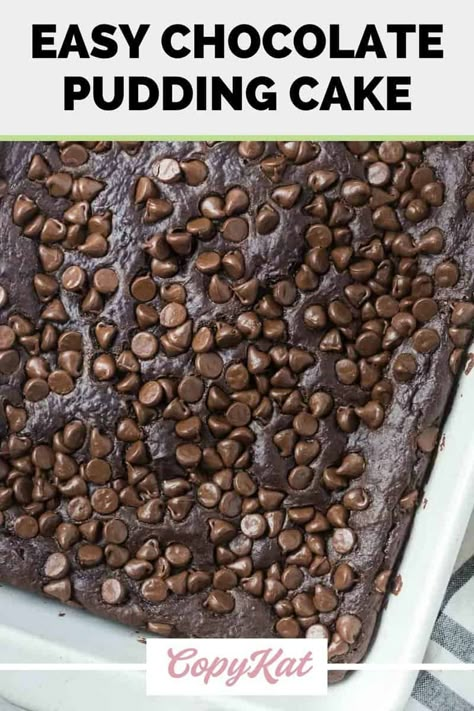 Chocolate Cobbler With Box Cake, Chocolate Pudding Cake Mix Recipe, Hot Fudge Cake From Box Cake, Triple Chocolate Cake Mix Recipes, Triple Chocolate Fudge Cake Mix Recipes, Chocolate Chip Pudding Cake, Pudding In Cake Mix Boxes, Cake Mix Pudding Cake, Chocolate Poke Cake With Pudding