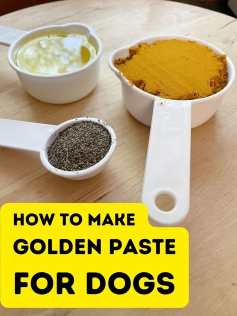 Golden paste for dogs: how easy is it to make your own? Tumeric For Dogs Recipe, Turmeric Treats For Dogs, Tumeric Paste For Dogs Recipe, Tumeric Dog Treats Recipes, Golden Paste Turmeric Recipe, Tumeric Paste, Golden Paste For Dogs, Garlic For Dogs, Tumeric For Dogs