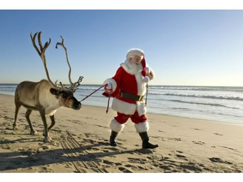 Christmas w Rudolph at the Beach in The OC Patriotic Christmas Ornaments, Kure Beach Nc, Rag Flag, New Year Messages, Holiday Memes, Tiny Shells, Rudolph Red Nose, Wrightsville Beach Nc, Xmas Photos