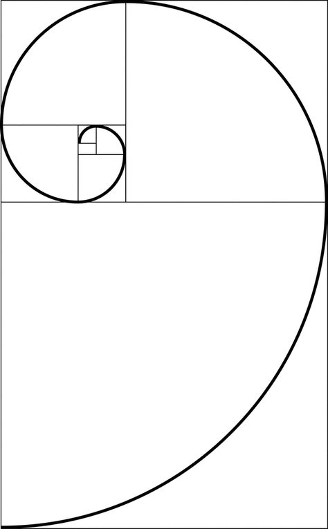 Fibonacci Spiral Tattoo, Fibonacci Spiral Art, Golden Ratio Tattoo, Golden Ratio Art, Fibonacci Art, Logarithmic Spiral, Golden Rectangle, Symbol Of Creation, Basic Geometric Shapes