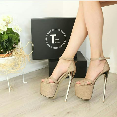 High Heel Sandals Outfit, Hak Tinggi, Best High Heels, Strap High Heels, High Heel Dress, Club Shoes, High Heels Sandals, Platform High Heels, Fashion Heels