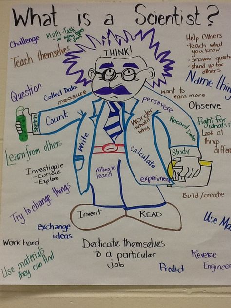 What is a Scientist? What Does A Scientist Look Like Activity, Think Like A Scientist, What Is A Scientist, Science Projects For Preschoolers, Science Safety, Grade 2 Science, Fourth Grade Science, Science Anchor Charts, 2nd Grade Science