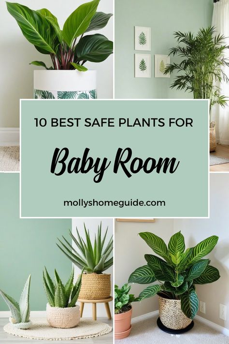 Discover the best indoor plants for baby rooms that are both safe and stylish. Use this indoor plant care guide to find low-light, zero sunlight, and cat-safe plants that are perfect for bedrooms. Explore hard-to-kill and low-maintenance houseplants ideal for hanging or styling your space. Whether you're a plant parent newbie or a seasoned green thumb, these selections like prayer plants will add life to any room effortlessly. Plant Inspired Nursery, Best Plants For Nursery, Hanging Plants In Nursery, Plants Nursery Ideas, Nursery Plants Ideas, Plants For Nursery Baby Rooms, Plant For Nursery, Plant Nursery Theme, Plants For Nursery