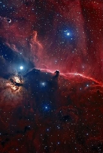 Constellation Orion, Cer Nocturn, Horsehead Nebula, Long Goodbye, Orion's Belt, Orion Constellation, Raymond Chandler, Orion Nebula, Space Universe