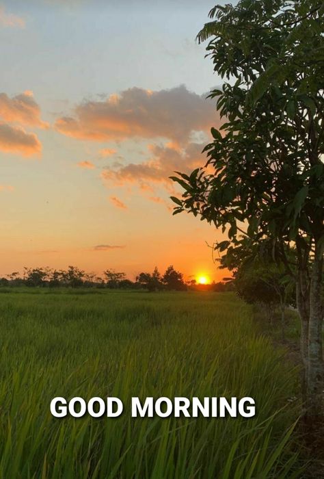 Good Morning With Nature, Nice Good Morning Images, Sunrise Images, Good Morning Clips, Happy Independence Day India, Good Night Beautiful, Sunrise Pictures, Happy Morning Quotes, Daily Blessings