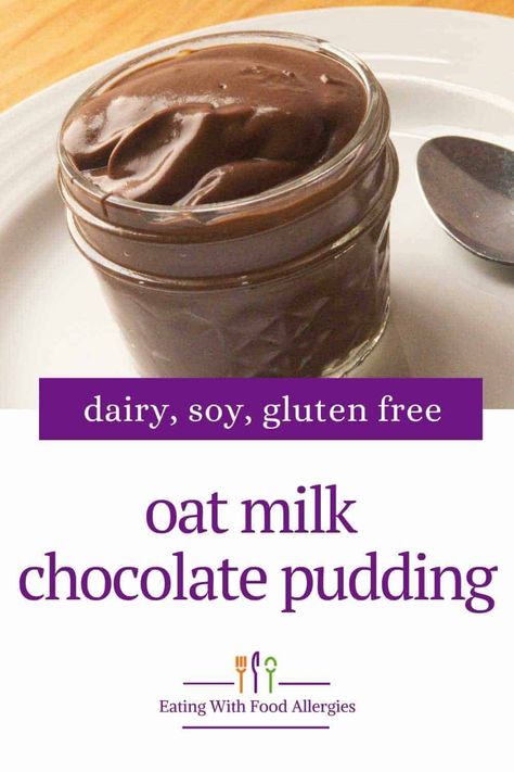 Oat Pudding Healthy, Chocolate Pudding Dairy Free, Oat Milk Pudding Recipe, Chocolate Oat Milk Recipe, Oat Milk Chocolate Pudding, Baking With Oat Milk, Recipes That Use Oat Milk, Alpha Gal Friendly Dessert Recipes, Make Your Own Oat Milk