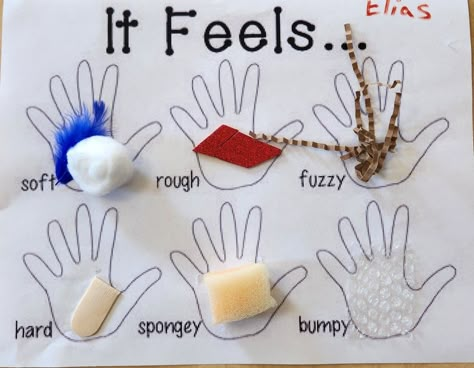 5 Sense Arts And Crafts, 5 Senses Touch Activities, Sense Touch Activities, Eyes Sensory Activity, Sense Of Touch Crafts Preschool, Sense Of Touch Sensory Bin, Five Sense Arts And Crafts, Touch Senses Activities, Touch Sense Activities Preschool