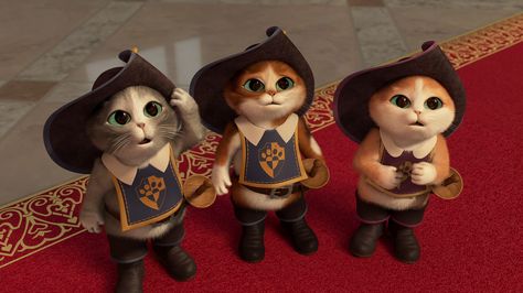 Pus In Boots, Crazy Cat Man, Modern Talking, Cute Little Kittens, Cute Kitten Gif, Kitten Gif, Little Kittens, Grumpy Cat, Shrek