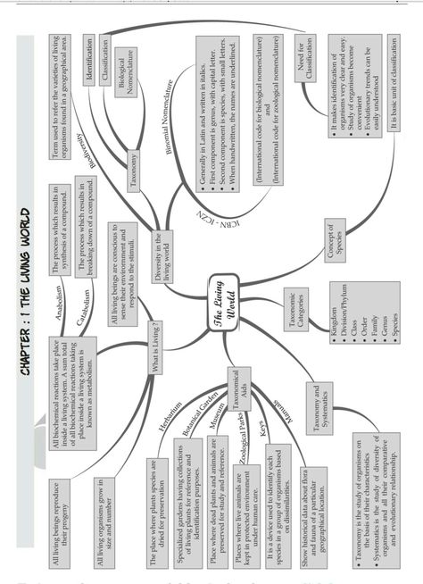 Living world Biology Tricks, Tree Of Life Evolution, Neet 2025, Class 11 Notes, Biology Class 11, Class 11 Biology, Notes Biology, Neet Notes, Biology Diagrams