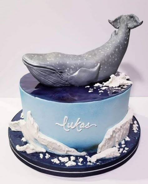 20 Blue Whale Cake Design (Cake Idea) - March 2020 Whale Birthday Cake, Whale Cakes, Cake By The Ocean, Red Birthday Cakes, Ocean Cakes, Gravity Defying Cake, Gravity Cake, Sea Cakes, Animal Cakes