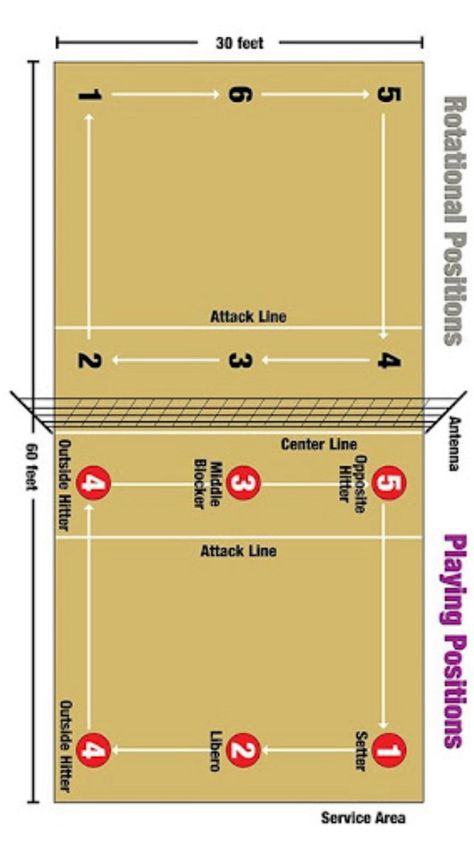 If you do volleyball or if it is new to u this may be helpful which positions and such. Volleyball Positions And What They Do, Volleyball Tricks, Court Drawing, Cell Analogy, Teen Workout, Volleyball Haikyuu, Volleyball Conditioning, Volleyball Positions, Volleyball Tryouts