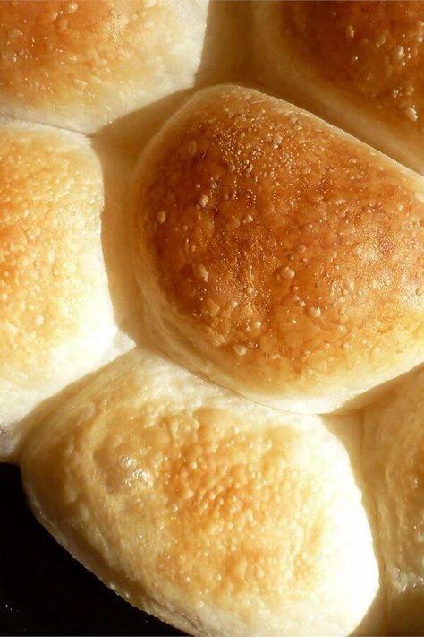 Herman Dinner Rolls | "I loved these rolls! I used a little extra flour and they were still light and flavorful. " #bread #breadrecipes #bakingbread Herman Starter, Cafeteria Rolls, Hot Cross Buns Recipe Easy, Yeast Buns, School Lunchroom, Buns Recipe Easy, Cross Buns Recipe, Sourdough Rolls, Hot Cross Buns Recipe