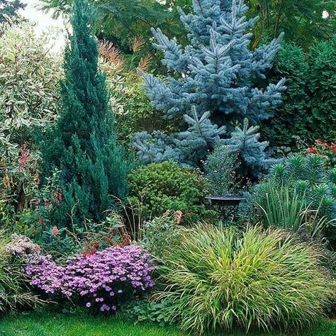 Landscape Layering: How to Create an Amazing Landscape Ravine Landscaping Ideas, Evergreen Landscape Backyards, Alabama Landscaping Ideas, Rock Wall Ideas, Alabama Landscape, Weeping Evergreen Trees, Pine Tree Garden, Evergreen Landscape Front Yard, Evergreen Landscaping