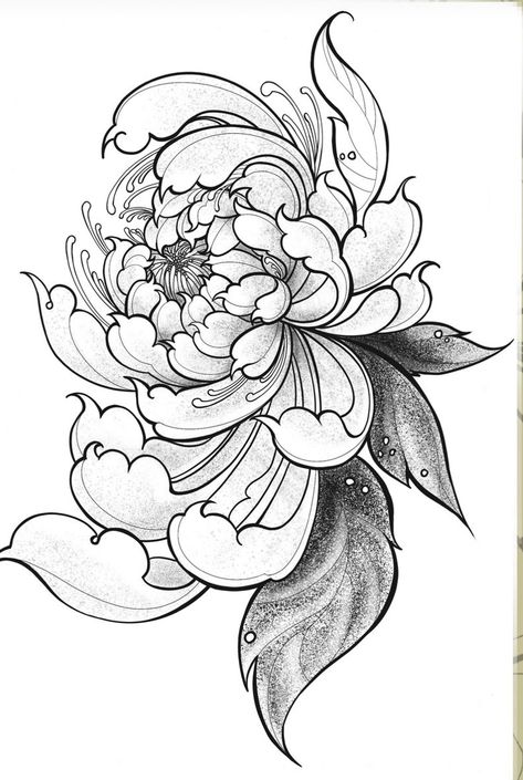 Japanese Chrisantemum Tattoo Design, Japan Flower Tattoo Design, Chrisantemum Flower Tattoo Design, Japan Flowers Tattoo, Spidermum Flowers, Japan Flower Drawing, Chrisantemum Flower Drawing, Japanese Peony Drawing, Japanese Chrysanthemum Tattoo Design