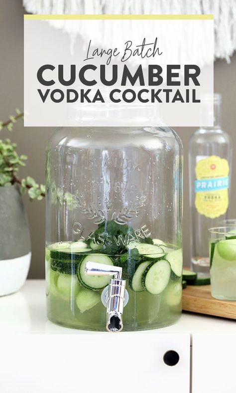 Nothing is more refreshing than this cucumber vodka cocktail on a hot summer day. If you need to serve a crowd, you're going to love this large batch vodka cocktail recipe! Cocktail Large Batch, Cucumber Vodka Drinks, Batch Cocktail Recipe, Cucumber Drink, Cucumber Cocktail, Cucumber Vodka, Pitcher Cocktails, Mint Cocktails, Mason Jar Drinks