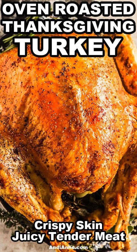 Oven Roasting A Turkey, Whole Baked Turkey Recipes, Reynolds Oven Bag Turkey Recipes, Oven Turkey Recipes Thanksgiving, Best Way To Roast A Turkey In The Oven, Easy Oven Turkey Recipes, How To Cook The Perfect Turkey In The Oven, Using A Roasting Bag For Turkey, Turkey Baking Recipes