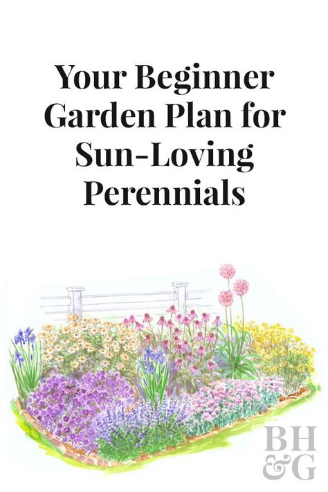 Our free planting guide for this garden includes a larger version of the illustration, a detailed layout diagram, a list of plants for the garden as shown, and complete instructions for installing the garden! Garden Beginner, Beginner Garden, Perennial Garden Design, Flower Garden Layouts, Full Sun Garden, Full Garden, Perennial Garden Plans, Flower Garden Plans, Planting Guide