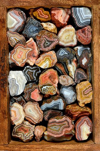 Fairburn Agate, Crystal Aesthetic, Pretty Rocks, 수채화 그림, Beautiful Rocks, Rock Collection, Minerals And Gemstones, Rocks And Gems, Patterns In Nature