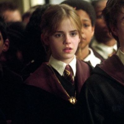 Hermione Granger Hair, Hermione Granger Aesthetic, Photographie Indie, Emma Watson Harry Potter, Hermione Jean Granger, Buku Harry Potter, Harry Potter Icons, Images Harry Potter, Harry Potter Dr