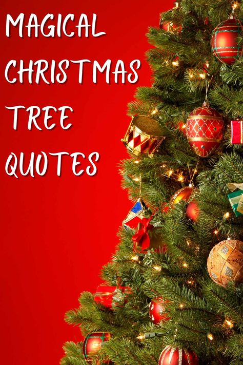 91 Christmas Tree Quotes That Are Festively Short - Darling Quote Lessons From A Christmas Tree, Ornament Sayings Christmas, Christmas Tree Sayings And Quotes, Christmas Tree Quotes Funny, Quotes About Christmas Magic, Christmas Ornament Quotes, Christmas Tree Quotes Instagram, Christmas Tree Sayings, Cute Christmas Sayings