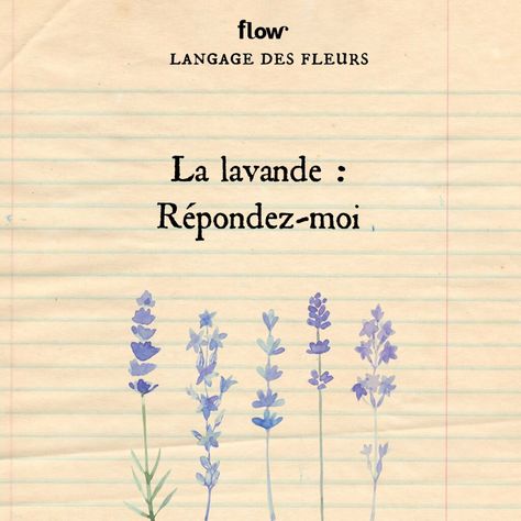 Langage des fleurs | Flow Language Of Flowers, Enola Holmes, Flowers Nature, Floral Art, Mindfulness, Coding, Flowers