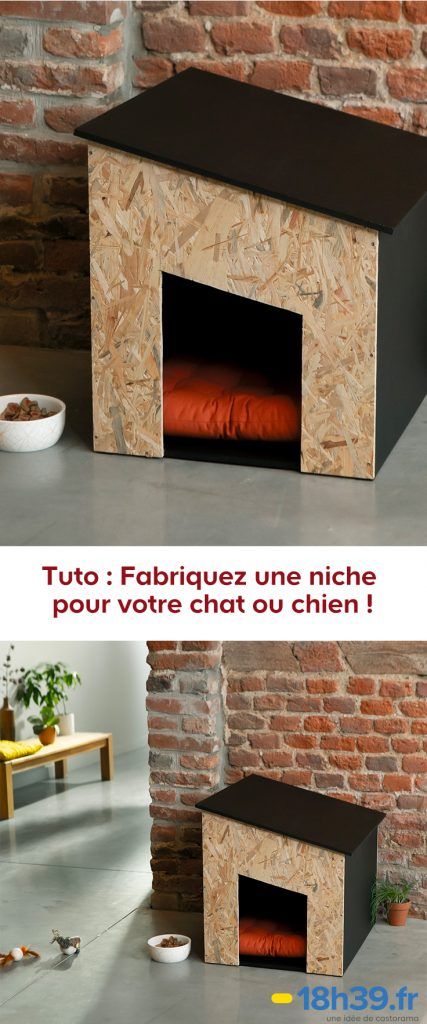 Diy Chat, Niche Chat, Cat Life, Garage, Wood, Home Decor, Design, Home Décor