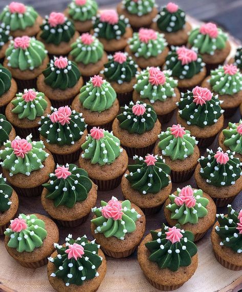 Morgy Cakes, LLC | Some cute little cactus minis! 🌵 • • • #homemade #fromscratchbaking #homebaker #selftaughtbaker #buttercream #cupcakes #cupcakedecorating… | Instagram Succulents Cupcakes Diy, Cupcake Decoration Birthday, Western Party Cupcakes, Cool Cupcake Decorating Ideas, Diy Cactus Cupcakes, Desert Theme Cupcakes, Cute Mini Cupcakes, Cactus Food Ideas, Western Birthday Cupcakes