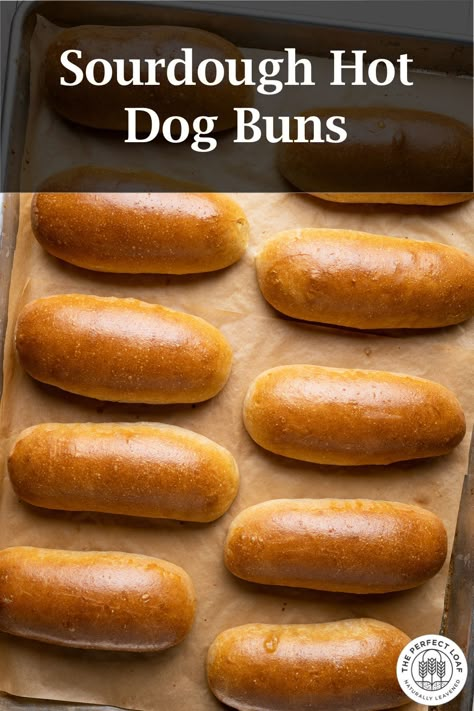 Easy and delicious sourdough hot dog buns—easy and delicious! Sourdough Hot Dog Buns, Sour Dough Bread Starter Recipe, Hot Dog Bread, Homemade Hot Dog Buns, Sourdough Buns, Hot Dog Buns Recipe, Homemade Hot Dogs, The Perfect Loaf, Baking Sourdough