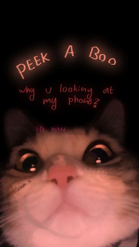 Lock Screen Wallpaper Cat, Its Locked, Funny Lockscreen, It's Locked, Wallpaper Cat, Writing Inspiration Prompts, Locked Wallpaper, Cat Wallpaper, Lock Screen