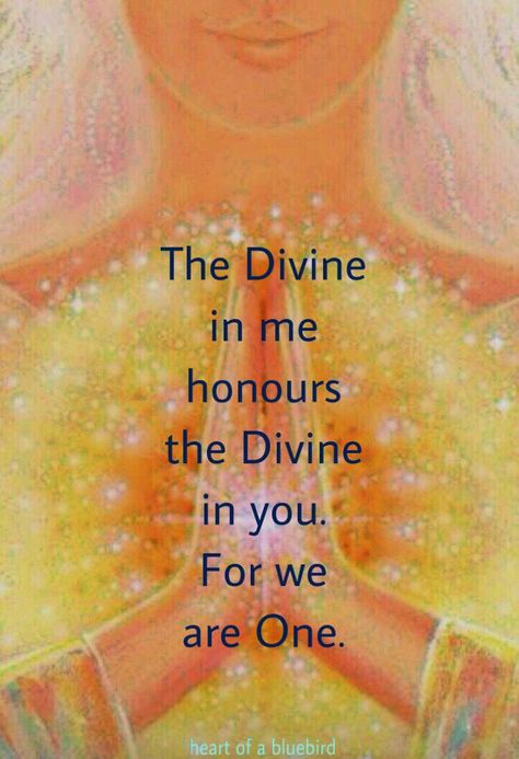 Law Of Divine Oneness, Positive Books, Divine Feminine Spirituality, Course In Miracles, Angel Guidance, A Course In Miracles, Awakening Quotes, Knowledge And Wisdom, We Are One