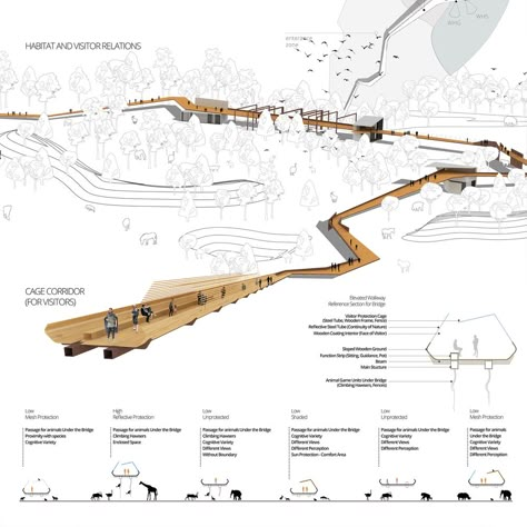 Winning Concepts for Zoo of the 21st Century Competition Announced,Courtesy of Archstorming Architecture For Animals, Landscape Design Competition, Animal Architecture, Landscape Architecture Plan, Zoo Architecture, Architecture Portfolio Layout, Urban Design Diagram, Landscape Concept, Architecture Graphics