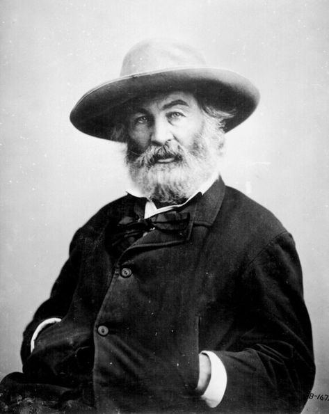 Better than anyone before or since, Whitman expressed natural connectedness Whitman Poems, Walt Whitman Poems, Apartment Posters, Poetry Poster, Walt Whitman Quotes, Books Must Read, Lily King, Fashion Eras, Famous Portraits