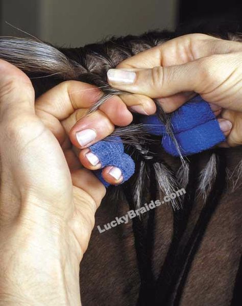 Hunter Horse Braids, Braiding Horse Hair, Hunter Braids, Horse Mane Braids Westerns, How To Braid Horse Mane For Show, Mane Braids, Waterfall Braid Horse Mane, Horse Mane Braids, Hunter Horse