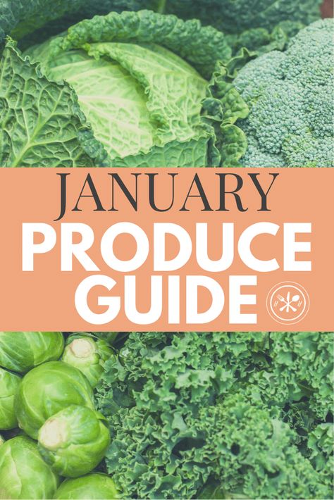 Discover what's in season this January! From sweet citrus to hearty root veggies, get the freshest and best-tasting fruits and veggies with our produce guide! January Produce, Seasonal Recipes Fall, Meal Prep Planning, Lettuce Recipes, Leek Recipes, Seasoned Veggies, Vegetable Prep, Winter Cooking, Root Veggies