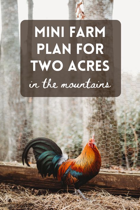 mini farm plan for two acres What To Do With 2 Acres Of Land, 2 Acres Farm Layout, Farm Animal Layout, Mini Farm Layout Ideas, Homestead On 2 Acres, Small Farm Living, Homestead Layout 2 Acres, Building A Farm, Small Farm Plans