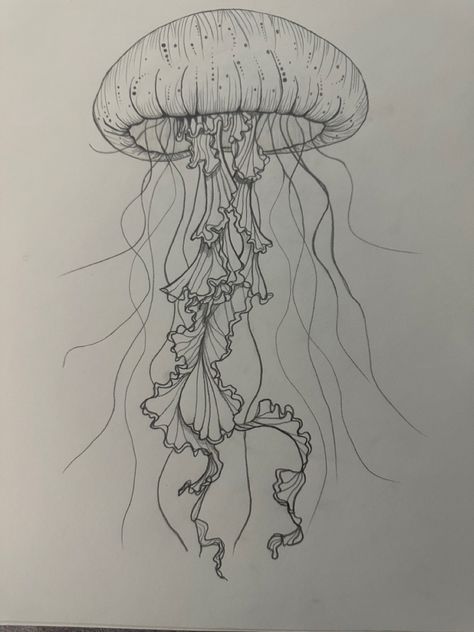 How To Draw Realistic Jellyfish, Detailed Things To Draw, Drawings Sea Creatures Art, Jellyfish Marker Drawing, Jellyfish Drawing Tutorial, Sea Floor Drawing, Sketches Jellyfish, Drawings Of Jellyfish, Octopus Drawing Sketches