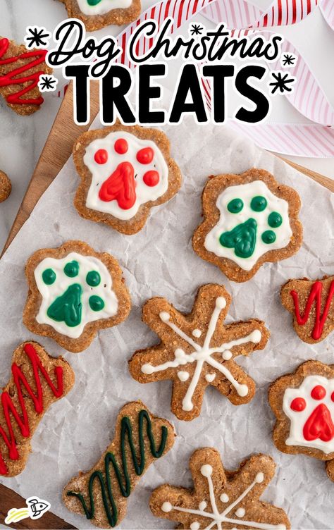 Dog Treats Homemade Bakery, Cute Dog Treats Homemade, Christmas Crafts With Dogs, Xmas Dog Treats, Dog Treat Christmas, Homemade Dog Christmas Treats, Dog Cutout Cookies, Dog Friendly Christmas Cookies, Christmas Dog Treat Recipes